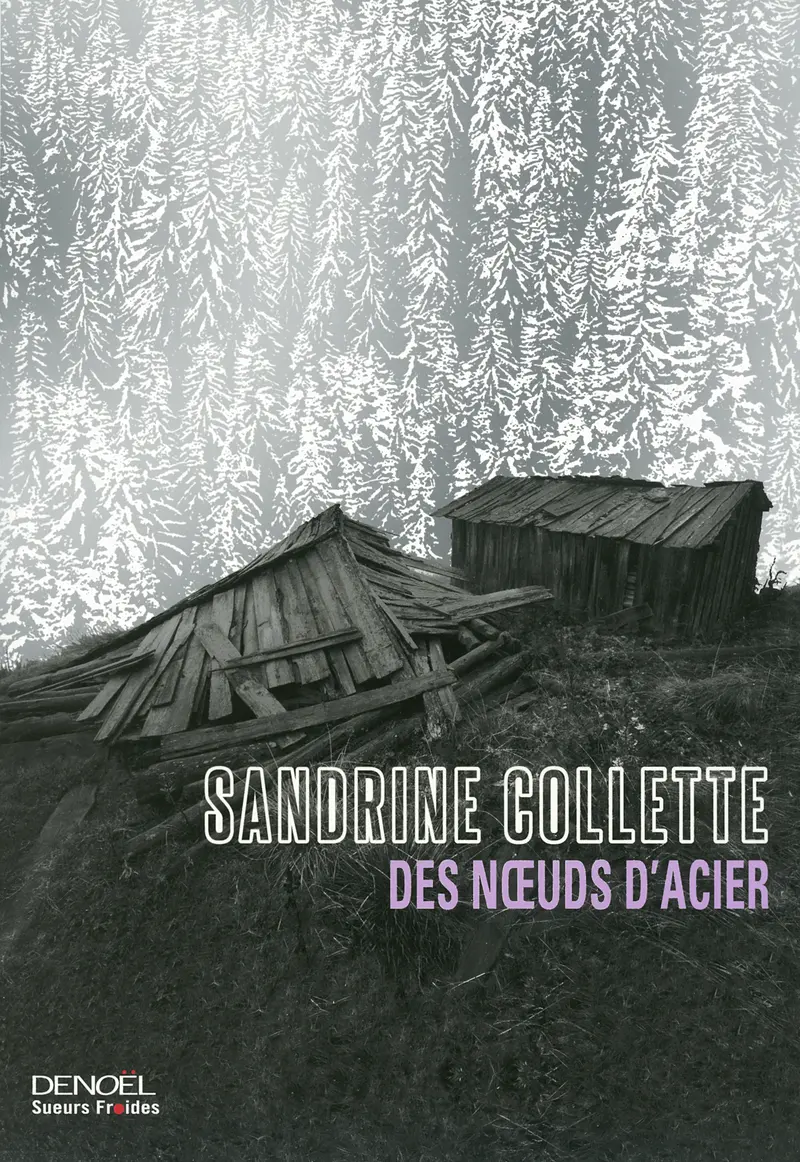 Des nœuds d'acier - Sandrine Collette