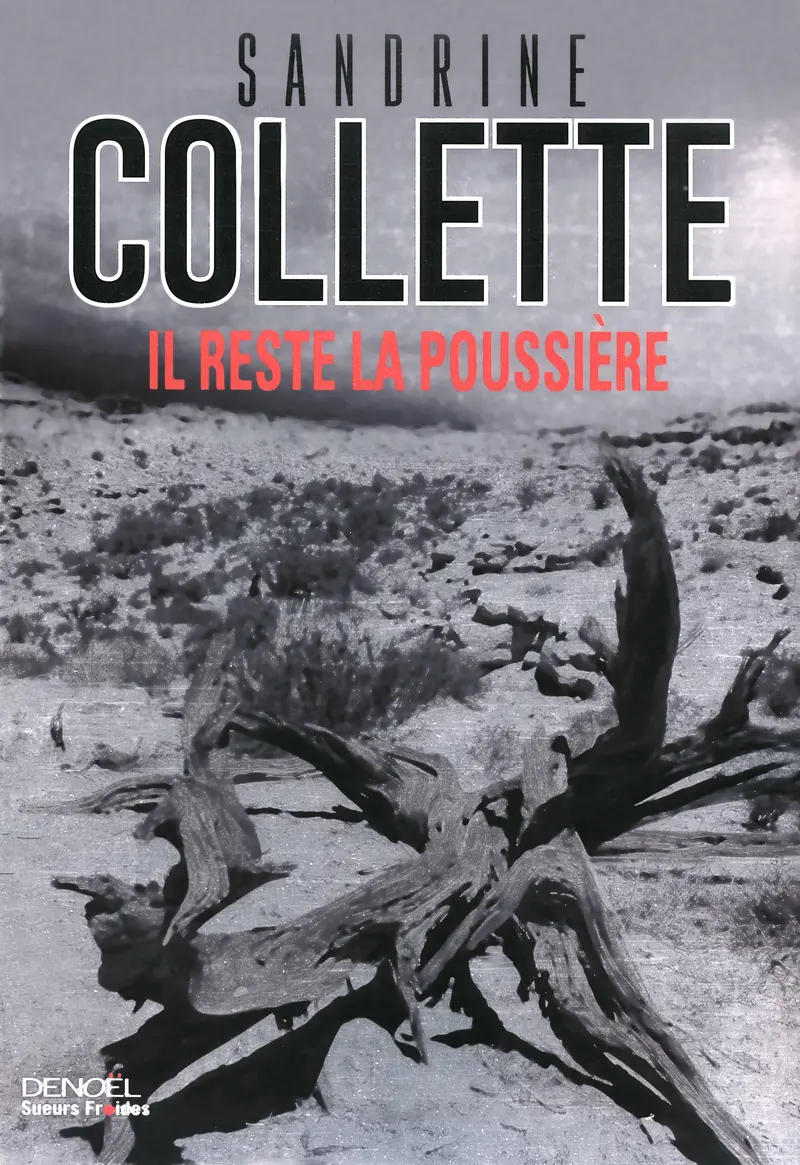 Il reste la poussière - Sandrine Collette