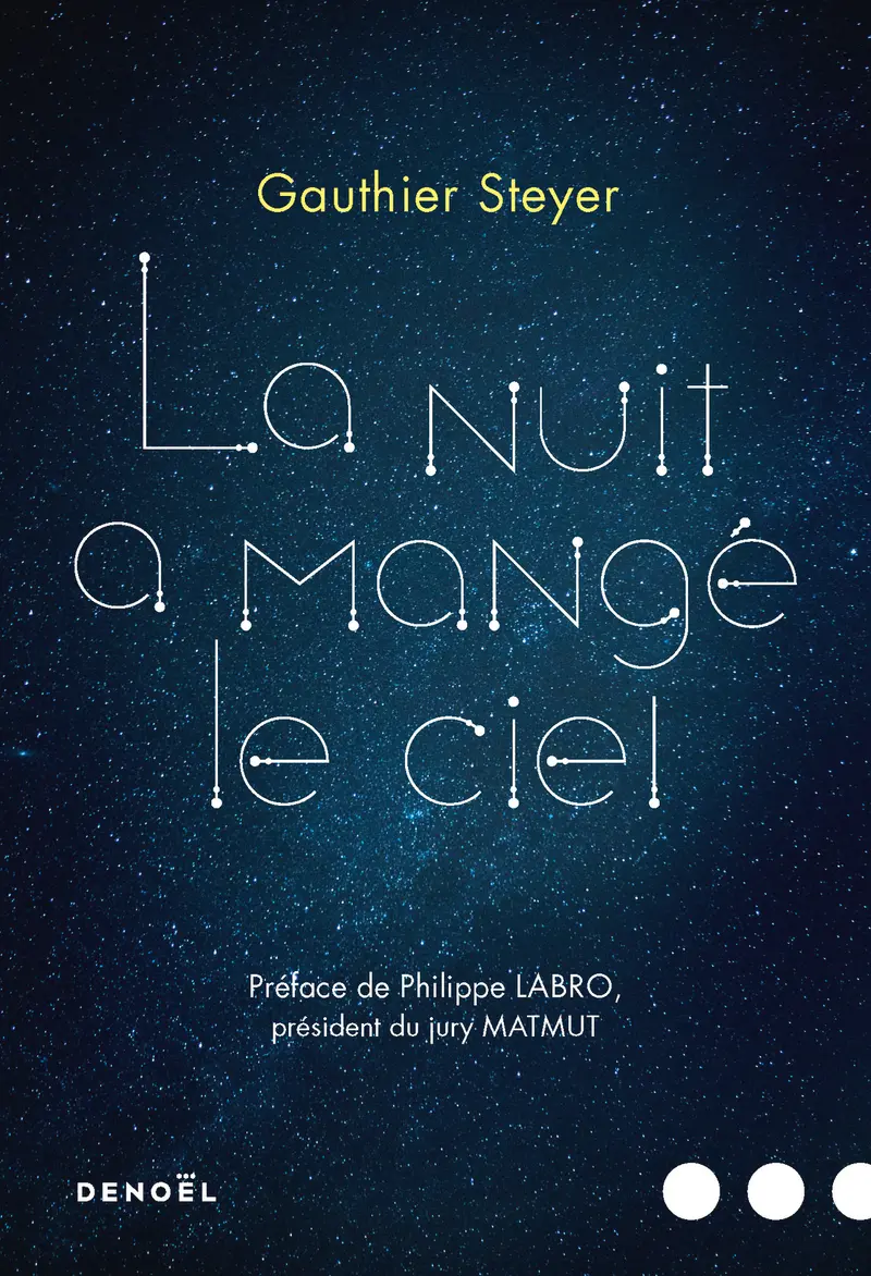 La nuit a mangé le ciel - Gauthier Steyer